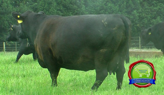 Pinebank Waigroup 41 97 daughter